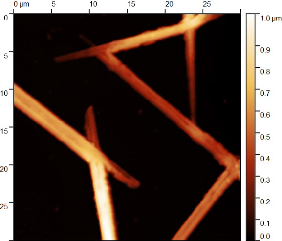 Кристаллы сульфанатного тиакаликсарена на Si, модифицированном PEI-H+. Полуконтактная АСМ.