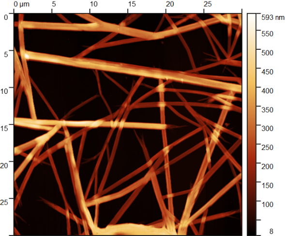 Кристаллы сульфанатного тиакаликсарена на Si, модифицированном PEI-H+. Полуконтактная АСМ.
