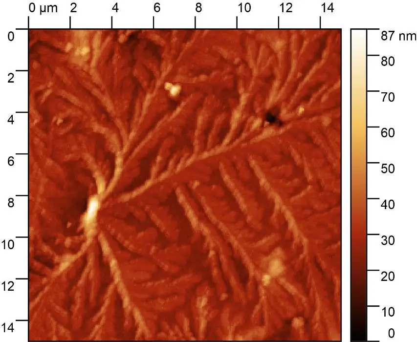 Топография. АСМ. Сплав LDPE@PP.