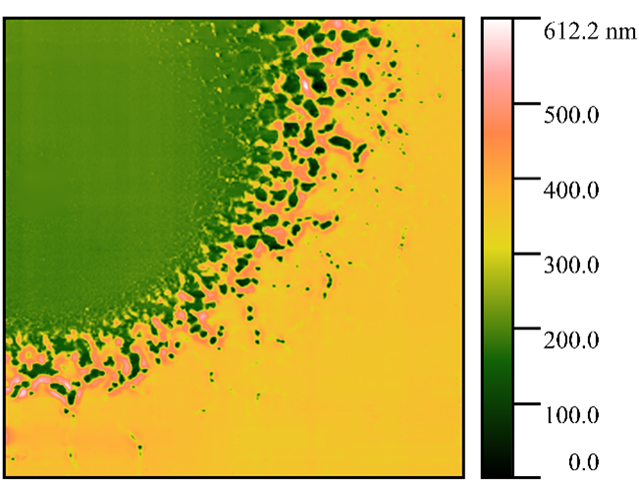 Электропробой пленки полиметилметакрилата на кремнии. Полуконтактный режим АСМ.