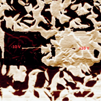 Сигнал фазы после поляризации напряжением -10В и +10В