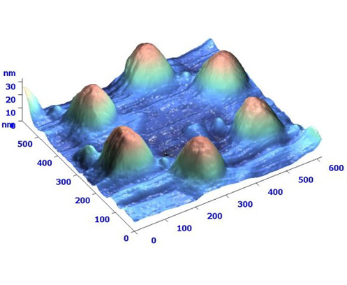 <p>100 нм кобальтовые частицы. Полуконтактная АСМ.</p>