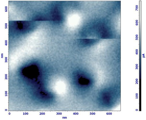 <p>100 нм кобальтовые частицы. Магнитно-силовая микроскопия.</p>