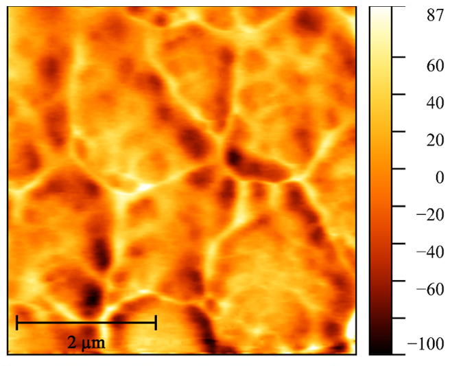 Карта поверхностного потенциала