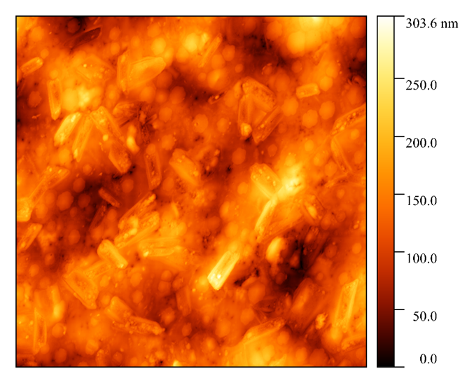Топография