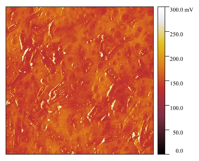 Карта поверхностного потенциала