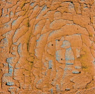 <p>Моноступени на поверхности кремния. Полуконтактная АСМ.</p>