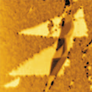 Конфокальное изображение