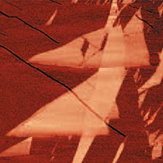 АСМ карта в режиме модуляции силы