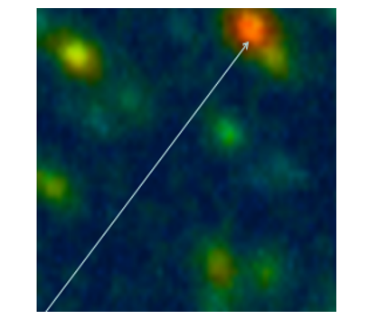 FLIM-картирование полосы 750-770 нм