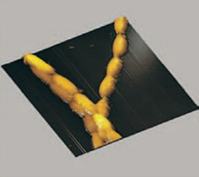 АСМ-изображение