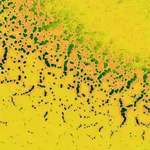 Электропробой пленки полиметилметакрилата на кремнии. Полуконтактный режим АСМ.