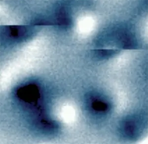 <p>100 нм кобальтовые частицы. Магнитно-силовая микроскопия.</p>