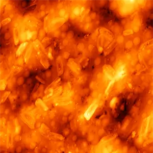 <p>Пленка перовскитов состава MAPbI<sub>3</sub>. Метод зонда Кельвина.</p>