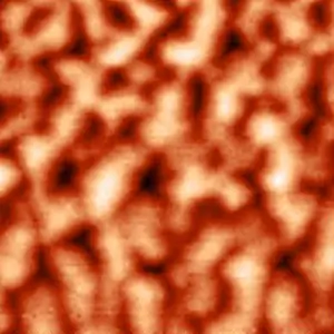 <p>Сканирующая ближнепольная оптическая микроскопия (СБОМ).</p>